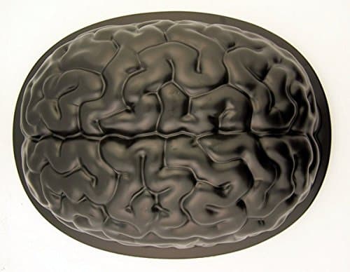 Floating Brain Freeze Gelatin Candy or Ice Cube Mold, 8 1/2 Inch (1)