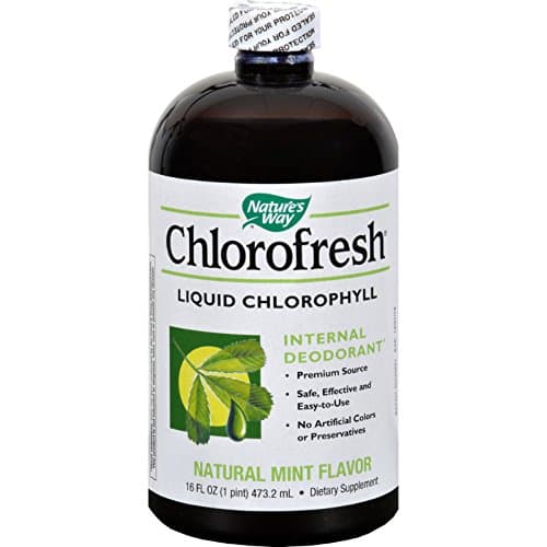 2Pack! Nature's Way Chlorofresh Liquid Chlorophyll Natural Mint - 16 fl oz