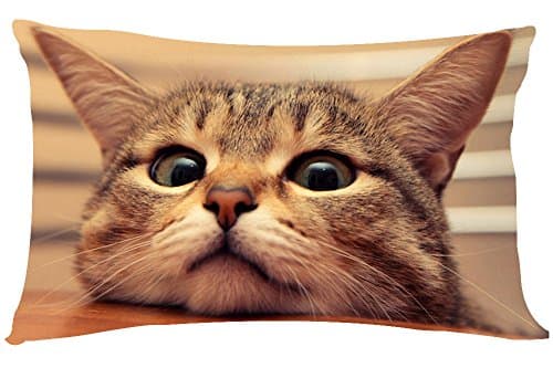 EIAY Shop Custom Zippered Pillow Cases Throw Pillow Covers Cute Animals 20"x30"-Twin Sides (Spoiled cat, 20 30 Inches)