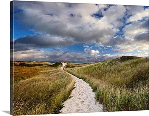 cwb2jcwb2jcwb2j Canvas Print Canvas Art Wrap Beach Decor Cape Cod Photography Martha'S Vineyard Dunes Path Photo Nautical Coastal Decor Green Beige Bedroom Bathroom Decoration Wall Art Wall Decor