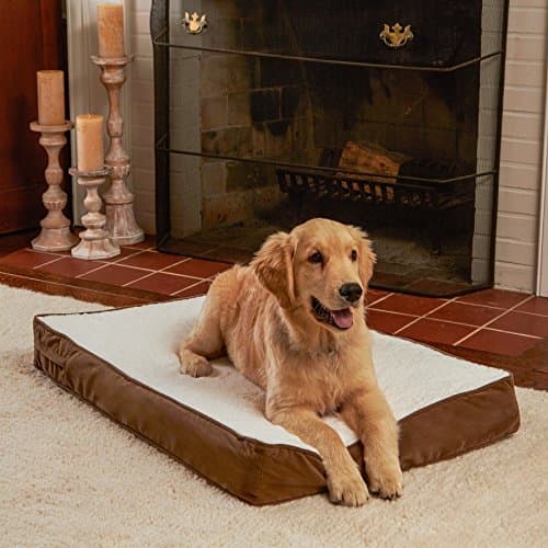 Oscar Orthopedic Dog Pillow Size: Medium (42" L x 30" W), Color: Latte