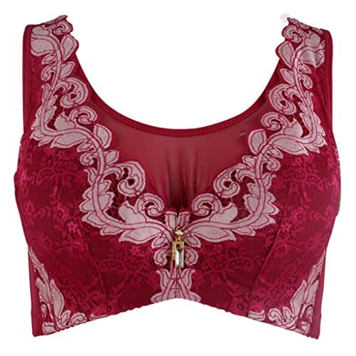Women's Lace Push Up Bra Brassiere (Underwire Plus Size 34-42 B-C)