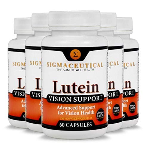 5 Pack of Lutein Vision Support Supplement (Plus Best Eye Care eBook) 20mg of Healthy Lutein, Vitamin A, Zinc, Bilberry Extract, Grape Seed Extract for Strained, Red or Dry Eyes - 60 Capsules Each