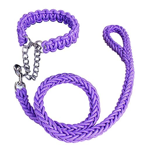 AooToo Pet Adjustable Nylon Dog Rope Slip Training Walking Leash And Pet Collar And Traction Rope Solid Hardware Best for Medium Or Large Dogs(Purple, L)