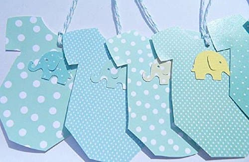 Baby Onesie Gift ags