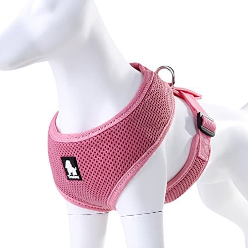 JUXZH Cat Pet Dog Harness Mesh Padded Nylon No Pull Soft Vest dog Harness For Small Medium Size puppy