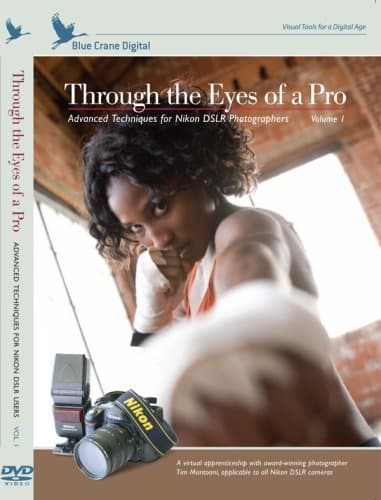 Through the Eyes of a Pro: Advanced Shooting Techniques for Nikon DSLR Photographers; Volume 1