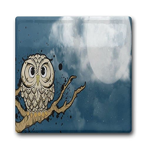 Linpark Owl On The Sky Square Drink Coaster Holder Cup Mats Ceramics 11cm
