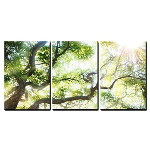 Tree wall art landscape Printing and printmaking Collage wall canvas art wooden Framing Painting big tree with sun light Photography for living room bedroom room office decor