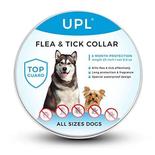 Flea and Tick Prevention for Dogs, Flea and Tick collar for Dogs, One Size Fits All, 25 inch, 8 MONTH PROTECTION, Charity