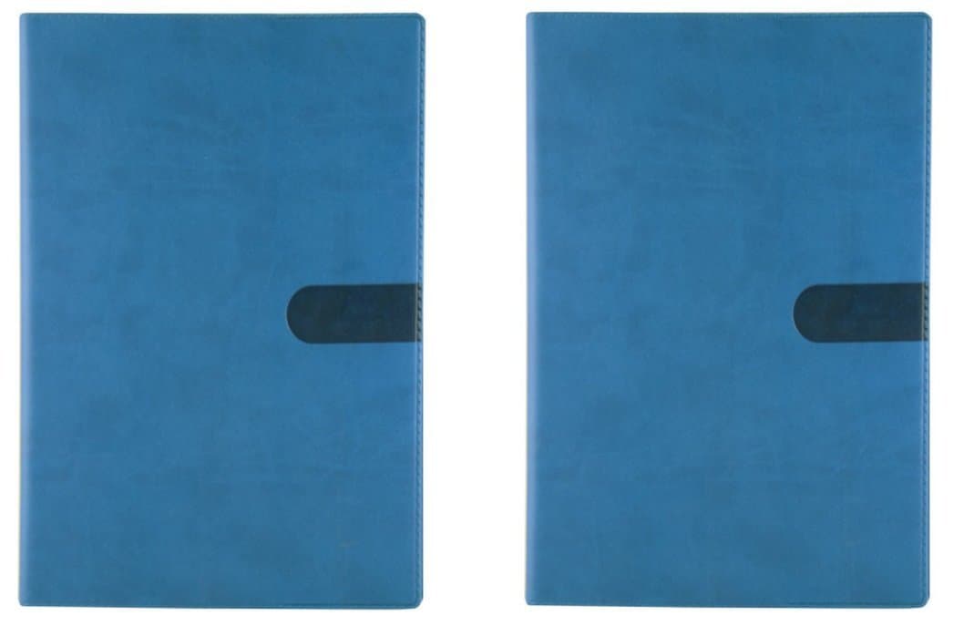 Quo Vadis Texas Scholar Blue 2017-18 Planner (5512Q4) (2 Books)