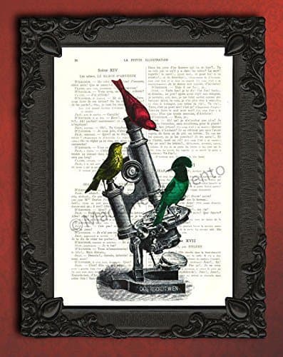Birds on antique microscope artwork, bird wall decor, red yellow green dorm decor art print on book page, geek gifts