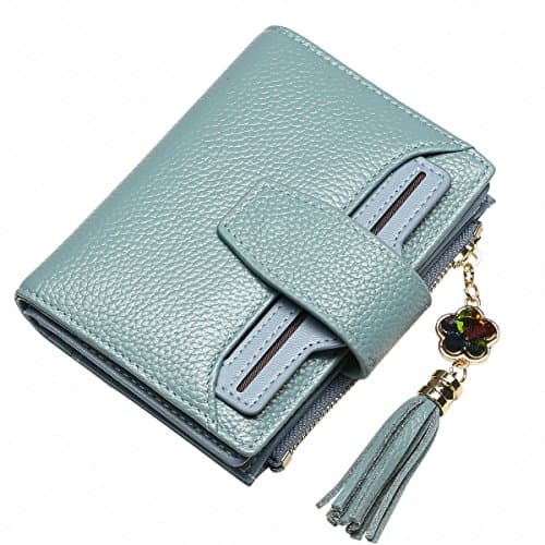JSLOVE Women's Genuine Leather Bifold Multi Function Compact Wallet Coin Purse Card Holder(blue)