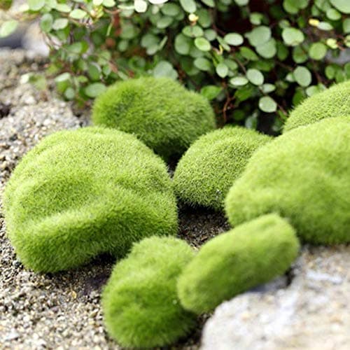 Qewmsg Simulation Moss Stones Grass Garden Plant Pot Fish Tank Decoration Ball