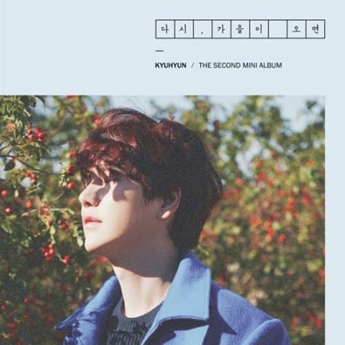 Super Junior KYUHYUN Fall, Once Again 2nd Mini Album packages + Poster Sealed K-POP