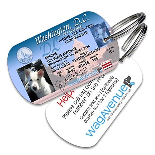 Washington DC State Drivers License Pet Tag – Durable Custom Stainless Steel Military Dog ID for Pet Collar, Split Ring & Personalized Pet Photo Included (2”L x 1.13”W, .2oz, Rounded Rectangle)