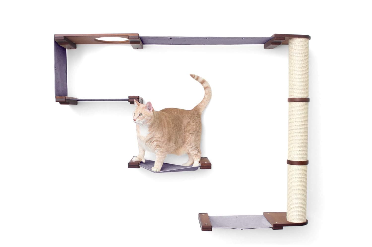 CatastrophiCreations Climb Set for Cats Multiple-Level Wall Mounted Scratch, Hammock Lounge, Play & Climbing Activity Center Furniture Cat Tree Shelves, English Chestnut/Charcoal Gray, One Size