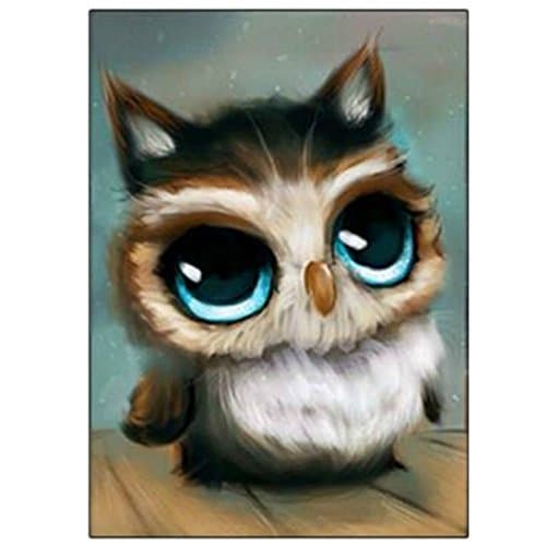 Miss 2 DIY 5D Full Drill Diamond Sticker Cross Stitch Painting Kits for Adult and Children Arts Crafts Home Decor Owl Bird 30 x 20cm (11.8" x 7.8")