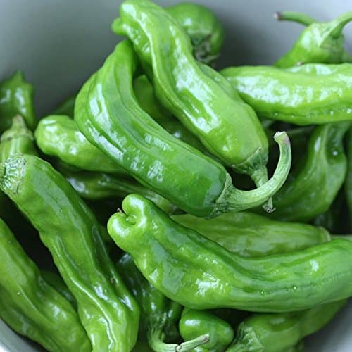 Green Leaf ®Japanese Shishito Pepper 50+ Seeds