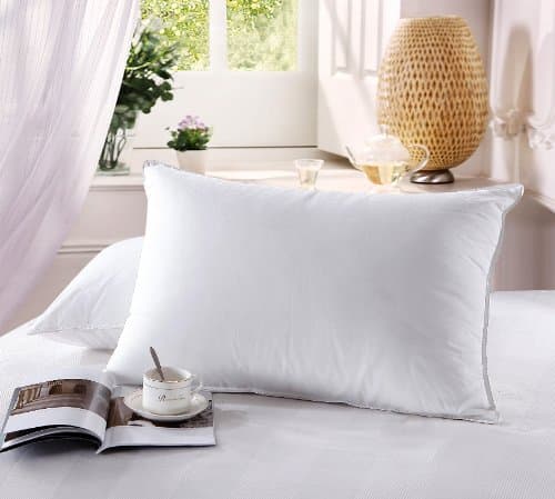 King Firm Goose Down Fill Pillows 500 Thread Count Egyptian Cover by Royal Hotel Collection (2 pillows)