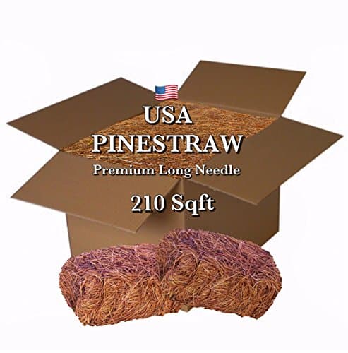 Pine Straw Mulch - 14 Inch Long Pine Needles - Covers 210 Sqft.