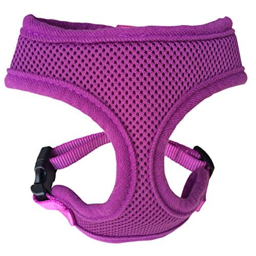 Soft Mesh Dog Cat Harness No Pull Comfort Padded Vest for Small Pet Cat and Puppy