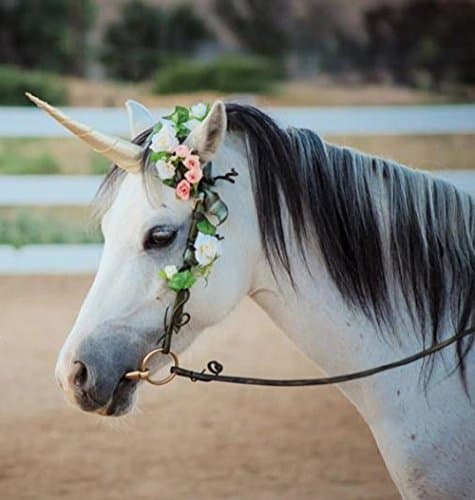 Unicorn Horse Horn