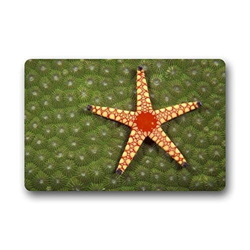 Artistic Designer from Mr Kill Designs Stylish, Decorative, Unique, Cool, Fun, Funky - Red Starfish In Green Coral Computer desk pad mat