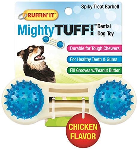 RHODE ISLAND TEXTILE 80653 Barbell Pet Toy, 5.5"