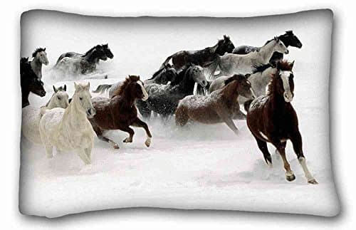 Generic Personalized ( Animals horse herds running snow ) Standard Size Pillowcase for Hair & Facial Beauty Size 20x30 Inches suitable for King-bed PC-Orange-32874