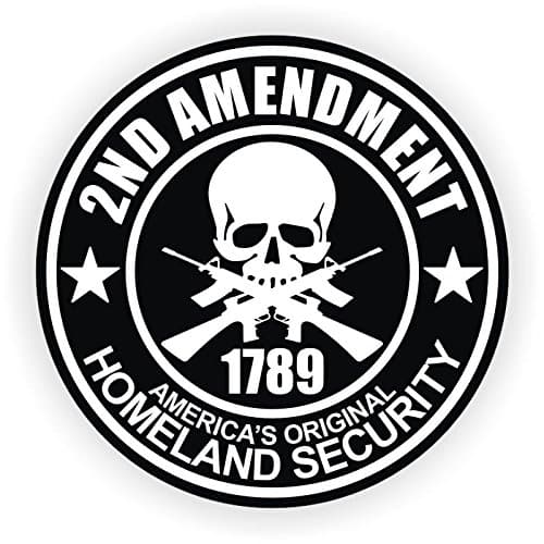 10PCS 2nd Amendment Hard Hat Sticker / Helmet Label Motorcycle Gun Rights Decal