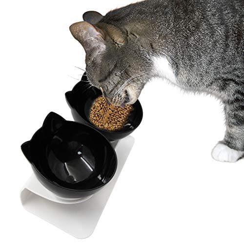 HanDingSM 15°Tilted Platform Double Bowl Cat and Dog Feeder,Elevated Double Cat Bowl,Small Dog Bowl,Anti-skid Bowl Protection Pet Cervical Vertebra (Black)
