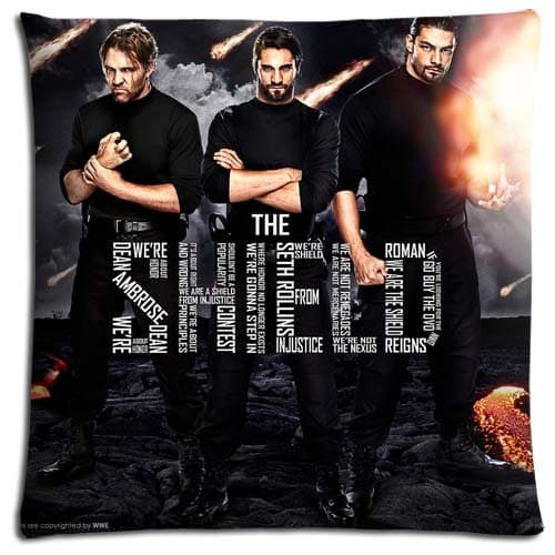 Collection The Shield Beautiful Zippered Bedding Pillow Protectors Cases Polyester Cotton 16x16 inch 40x40 cm