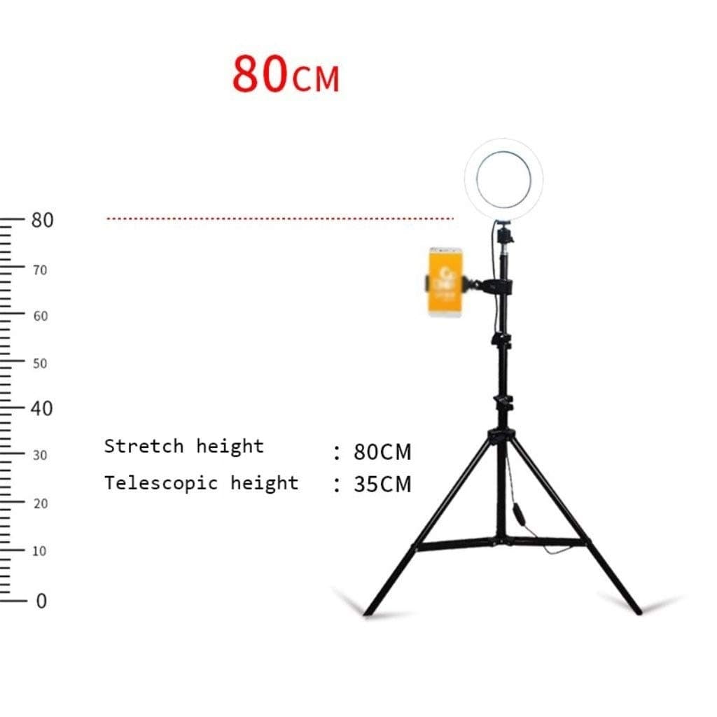 Adjustable Floor Lamp Modern Minimalist LED Stepless Dimming Beauty Lamp Fill Light Beauty Nail Eyelash Eye Protection Eye Multifunction Floor Lamp Home Lighting (Color : A)