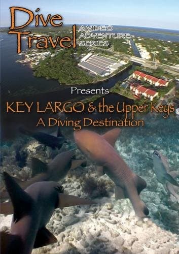 Dive Travel Key Largo and the Upper Keys A Diving Destination