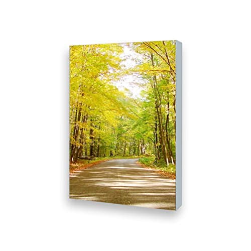 LED Light Box for Showroom Shop Window - Centch Sideray Slim Profile Store Signs for Advertising Illuminated Poster Display 22" x 28" Double Sided 6cm Thickness