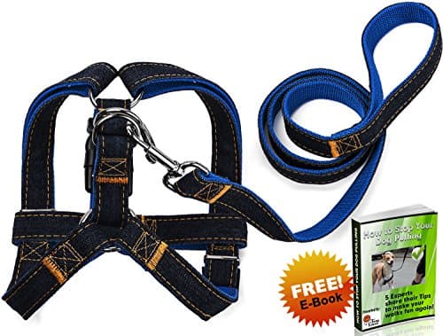 Foxy Loves Quality, Adjustable No Pull Denim Dog Harness and Leash in LARGE. Comes with eBook - How to Stop Your Dog Pulling!