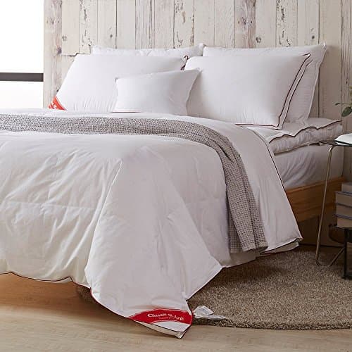 Light weight Summer Hungarian Goose Down 93 Comforter 800 Fill power (Queen 79"x91")