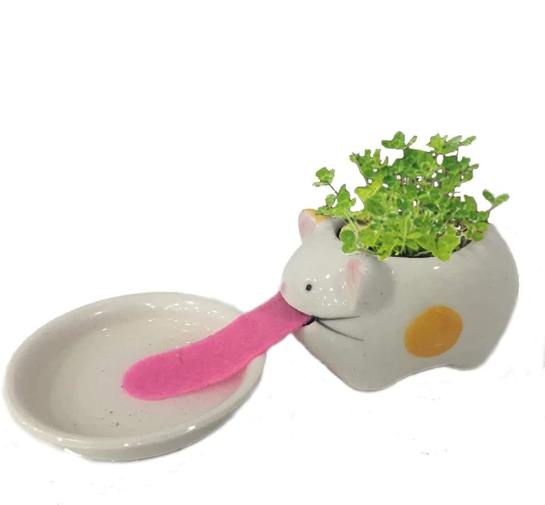 Mini Ceramic Plant Pots Cute Self Watering Animal Planter Drinking Animal Tongue for Home Office Desktop Decoration