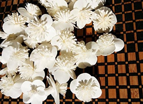 100 Orange jasmine Balsa Wood Sola Diffuser Flowers 3 cm Dia.