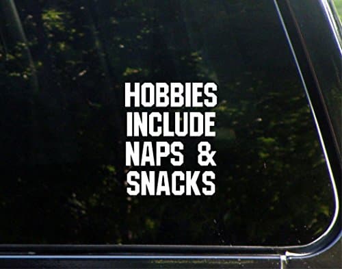 Hobbies Include Naps & Snacks - 4" x 3-3/4" - Decals Stickers For Windows, Windshields, Bumpers, Laptops, Glassware, Hard Surfaces, etc.