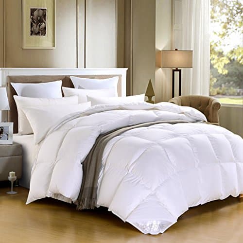 SHEONE Lightweight White Goose Down Comforter-600 Fill Power-100% Cotton Shell Down Proof-Solid White Hypo-allergenic Duvet Insert With Tabs (King)