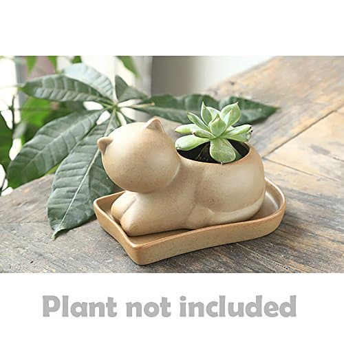 Anydo Mini Planter Cute Animal Archaistic Style Decorative Bisque Ceramic Cactus Succulent Plant Pot Flowerpot with Tray - Cat