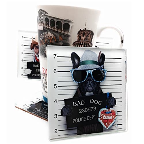Glass Coasters Set for Drinks, Bar Drink Coasters, HD Photo ,6mm Thickness,Safety Poblish Edge,Set of 4 (4inch, Bad Dog)