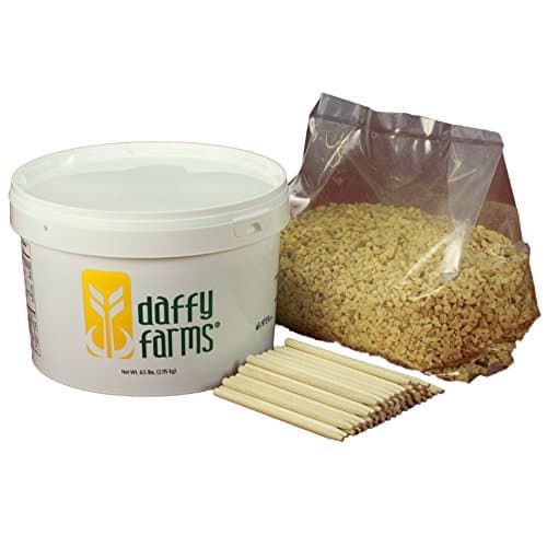 Daffy Farms Caramel Apple Kit With Peanuts