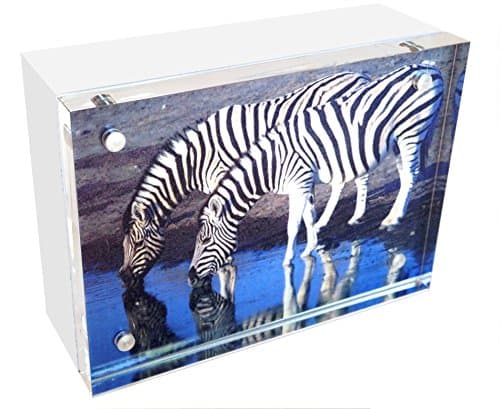 White Wood Back Magnet Frame by Canetti-4x6 inch