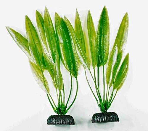TanksALot Plastic Aquarium Plant Amazon Sword 8" Medium Green 2 Pack (8" Medium)