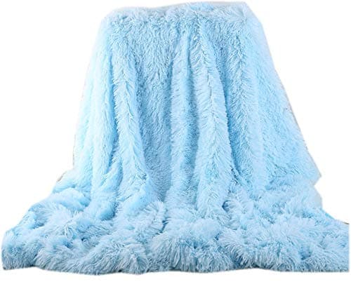 Soffte Cloud Super Soft Long Shaggy Warm Plush Fannel Blanket Throw Qulit Cozy Couch Blanket for Winter Twin Light Blue(63"x79")