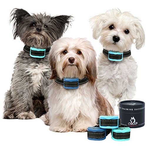 MOONSTONE | TOPAZ | SAPPHIRE Bark Collars by Our K9 - NO HARM, PAIN or SHOCK- Vibration, and Ultrasonic Sound Humane Rechargeable Anti-Bark Collar with 7 Sensitivity Levels for Small Dogs