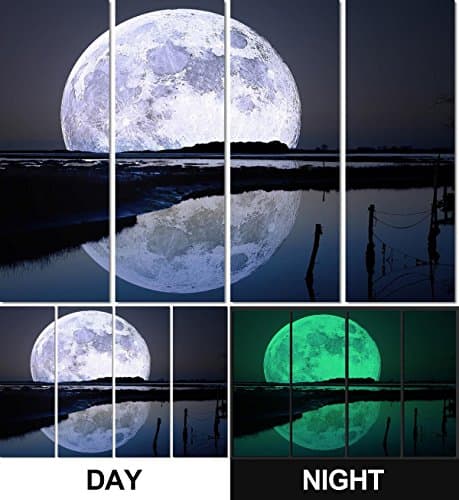 4-piece Set Glow in the Dark Canvas Wall Art, No Energy Use, The Moon (Total: 48 x 36 Inch)